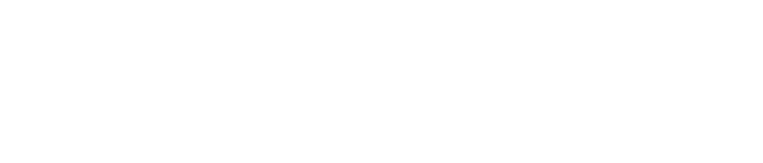 dryfiremag-logo (1)